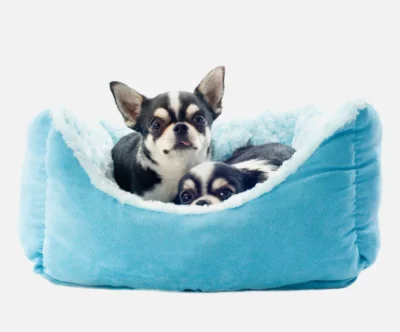 Get a Website for Your Pet Business – Grow Customers, Sell More!